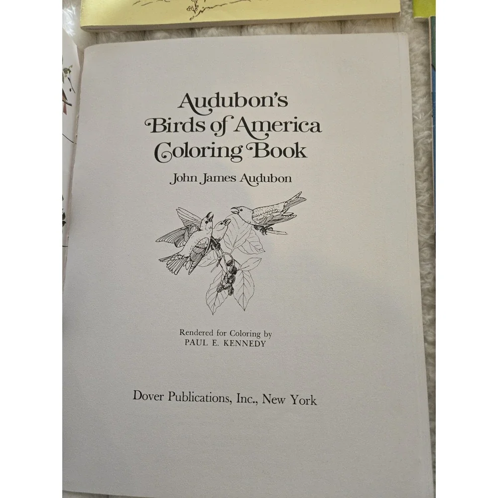4 Nature Coloring Books Florida Audubon's Birds Everglades West Wildlife Gift